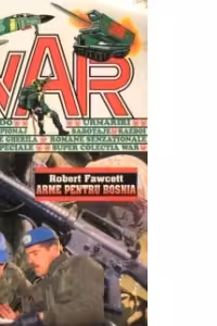 Arme pentru Bosnia