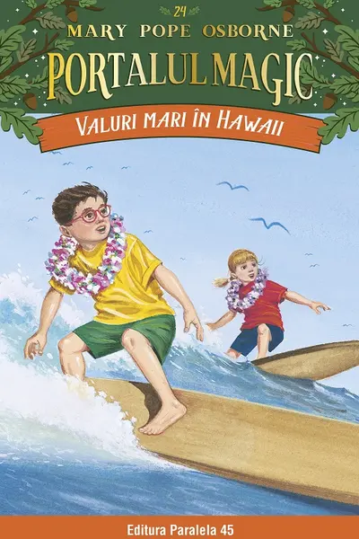 Valuri mari in Hawaii