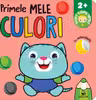 Sunt copil istet. Primele mele culori 2+