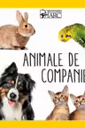 Animale de companie . White Star