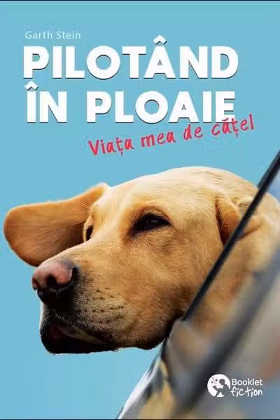 Pilotand in ploaie