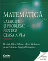 Matematică. Exerciții și probleme pentru cls 6. Semestrul I