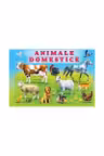 Animale domestice﻿