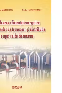 Evaluarea eficientei energetice a sistemelor de transport si distributie a apei calde de consum