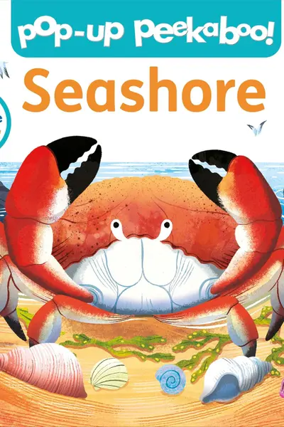 Seashore