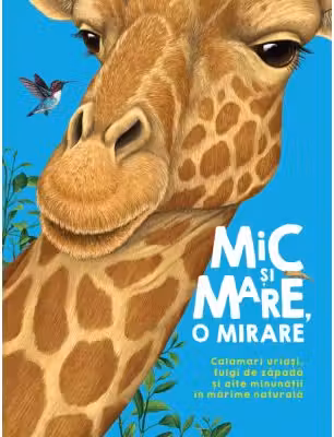 Mic si mare, o mirare