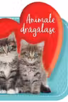 Animale dragalase - CUBERDON