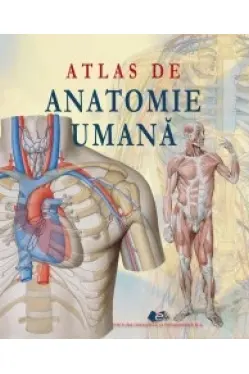 Atlas de anatomie umana