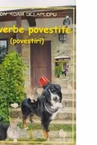 Proverbe povestite (povestiri)