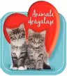 Animale dragalase - CUBERDON