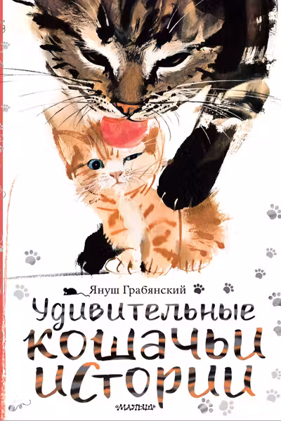 Удивительные кошачьи истории