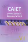 Fizica cl.8. Caiet pentru lucrari de laborator