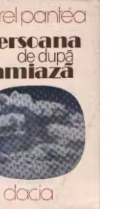 Persoana de dupa amiaza