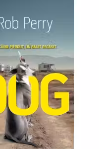 DOG. Un caine pierdut un baiat regasit
