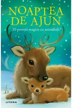 Noaptea de ajun
