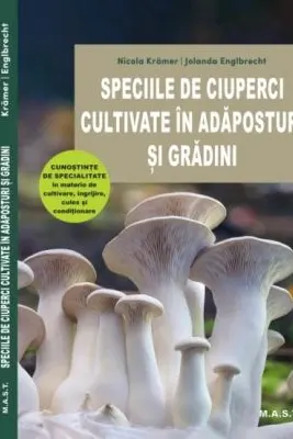 Stareta Rahila, mangaietoarea celor deznadajduiti - arhim. Serghei Lebedev