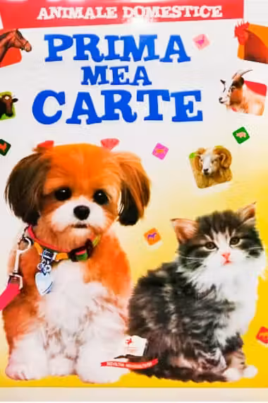 Prima mea carte Animale domestice