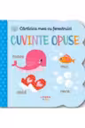Carticica mea cu ferestruici - Cuvinte opuse