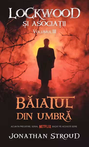 Baiatul din Umbra