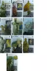 Istoria culturii si civilizatiei (13 volume)