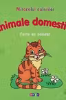 Miracolul culorilor Animale domestice