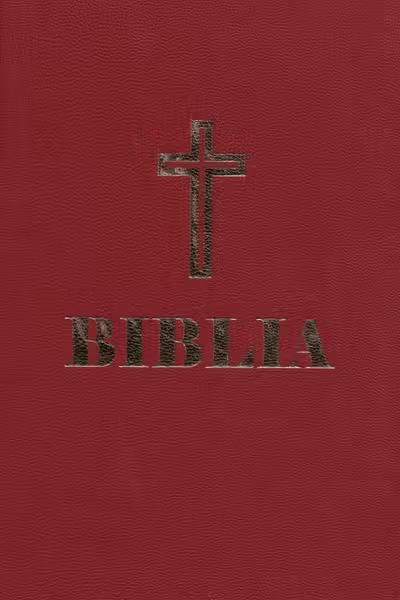 Biblia simplă grena Ed.2025