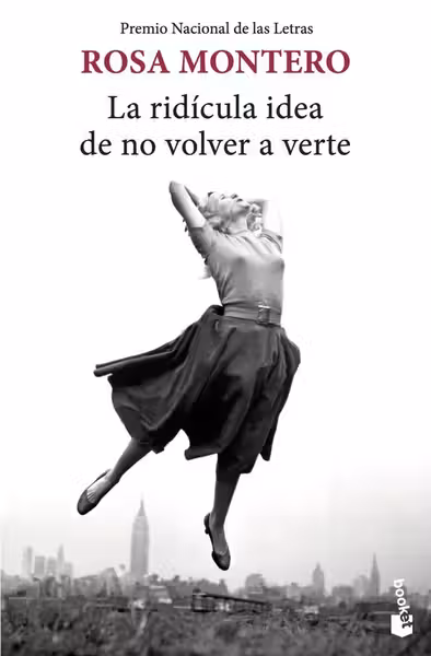 La ridicula idea de no volver a verte