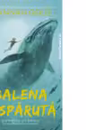Balena disparuta