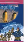 Penguins - The race to the South Pole