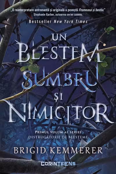 Un blestem sumbru si nimicitor (vol.1 din seria Distrugatorii de blesteme
