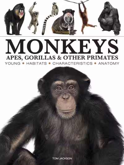 Monkeys
