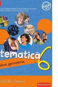 Matematica. Algebra, geometrie. Caiet de lucru. Clasa a 6-a. Consolidare. Partea I (editia a II-a)