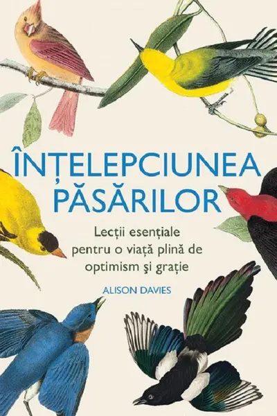 Intelepciunea pasarilor