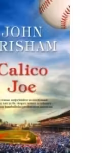 Calico Joe