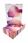 Cea mai frumoasă călătorie