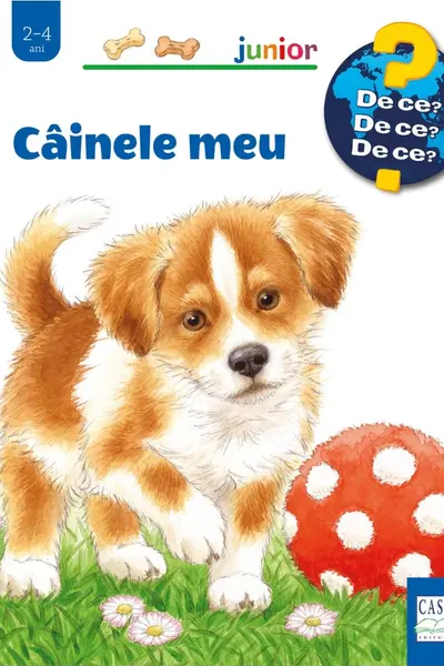Cainele meu