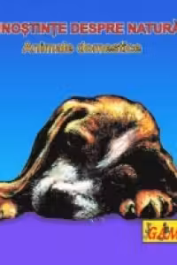 Carti pliante mici - Animale domestice 1