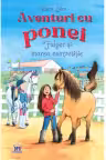 Aventuri cu ponei. Fulger si marea competitie - vol. 3