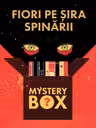 Mystery Box Fiori pe șira spinării 2024