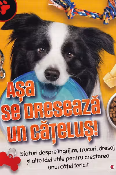 Asa se dreseaza un catelus