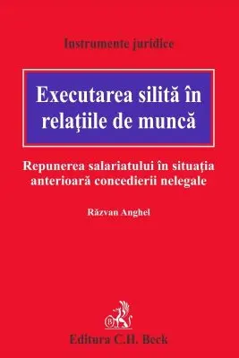 Executarea silita in relatiile de munca. Repunerea salariatului in situatia anterioara concedierii nelegale
