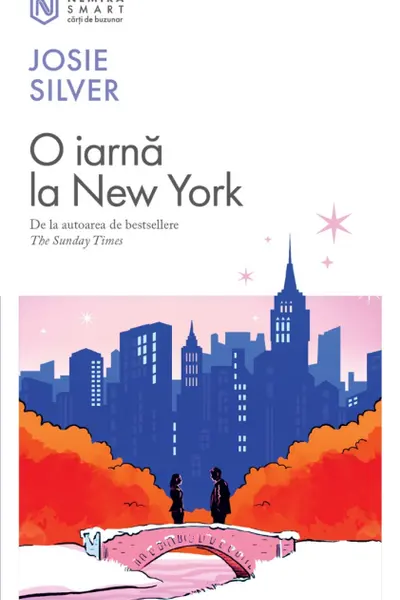 O iarna la New York