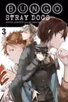 Bungo Stray Dogs (light novel) - Volume 3