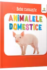 Animalele domestice