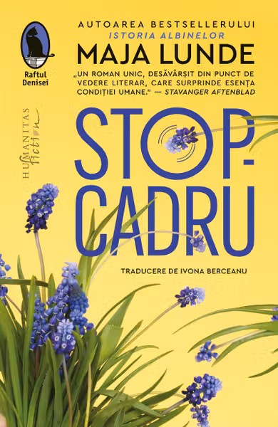 Stop-cadru