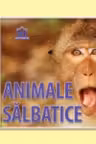 Animale salbatice - 14 imagini cu animale salbatice