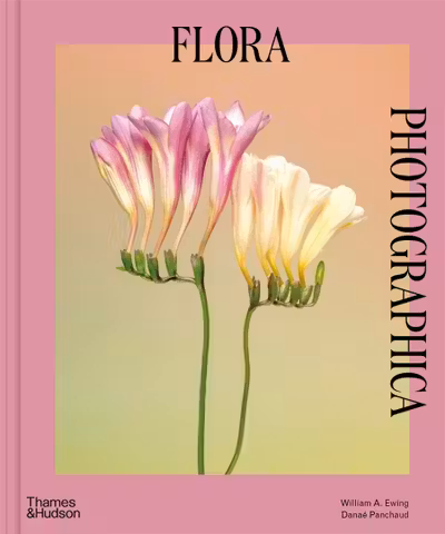 Flora Photographica