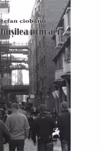 De-a busilea prin aer