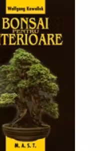 Bonsai pentru interioare