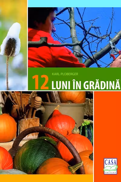 12 luni in gradina
